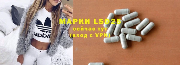 гидра Каменка