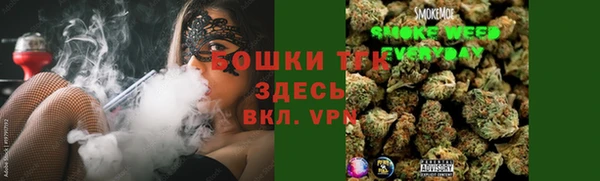 гидра Каменка