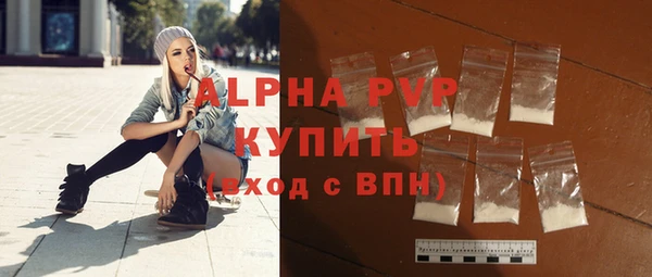 гидра Каменка