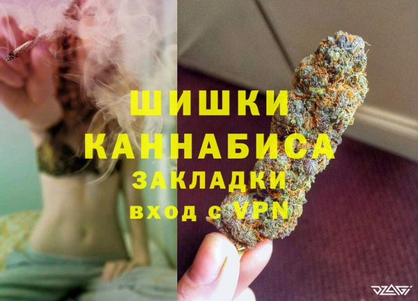 гидра Каменка
