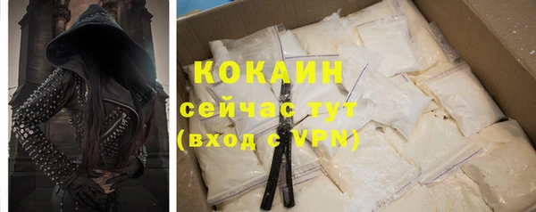 гидра Каменка