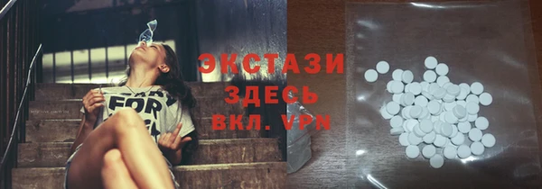 гидра Каменка