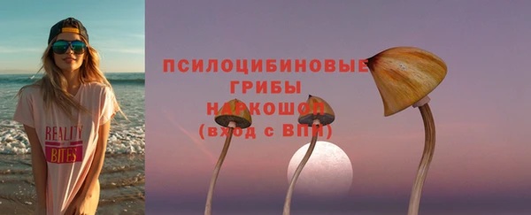 гидра Каменка
