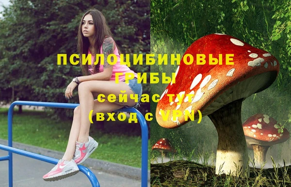 мефедрон Каменногорск