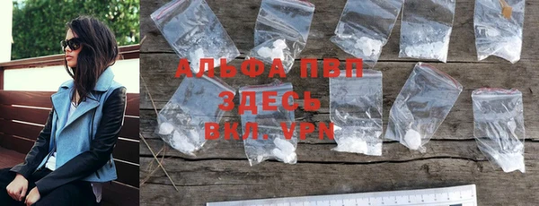 гидра Каменка