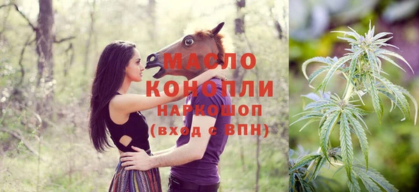 гидра Каменка