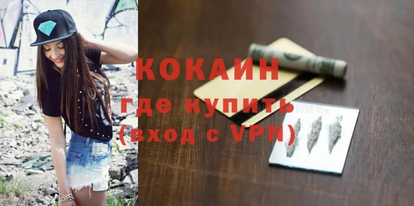 гидра Каменка