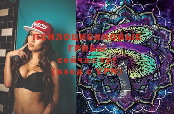 мефедрон Каменногорск