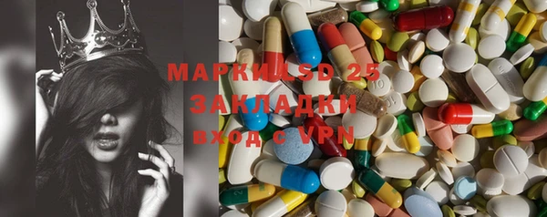 гидра Каменка